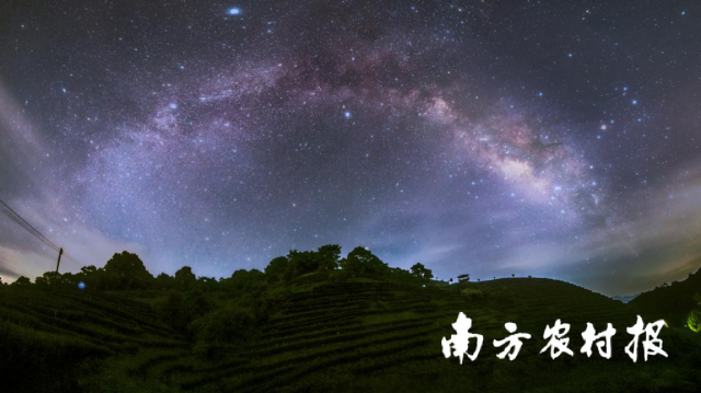 《星空下的龍王嶂茶山》（專業(yè)組三等獎(jiǎng)） 鐘泳昌/攝 