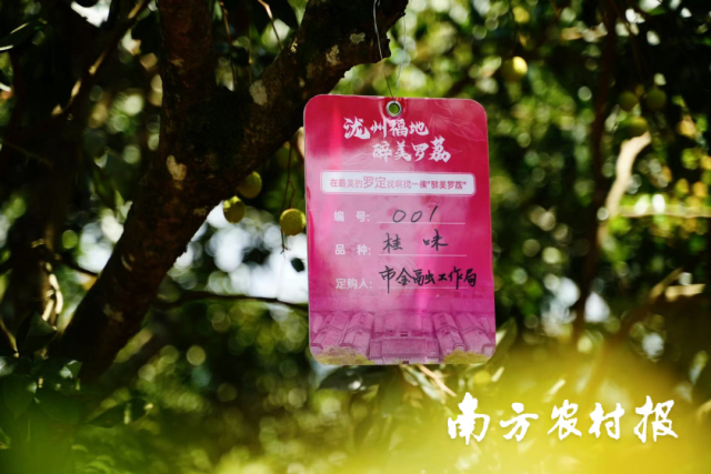 活动现场举行了金融机构挂牌定购仪式。