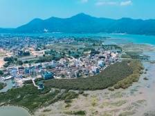 打造万亩级示范区！惠州滨海生态修复提质升级