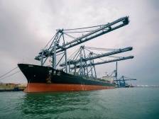 专家建言｜打造产业港贸易港，支撑惠州海洋产业发展