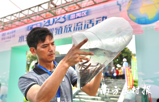 南方农村报 杨玲 拍摄