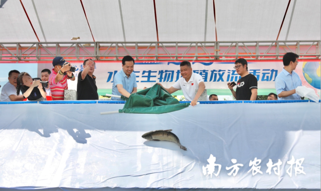 南方农村报 杨玲 拍摄