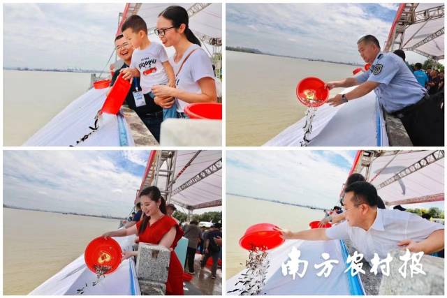 南方农村报 杨玲 拍摄