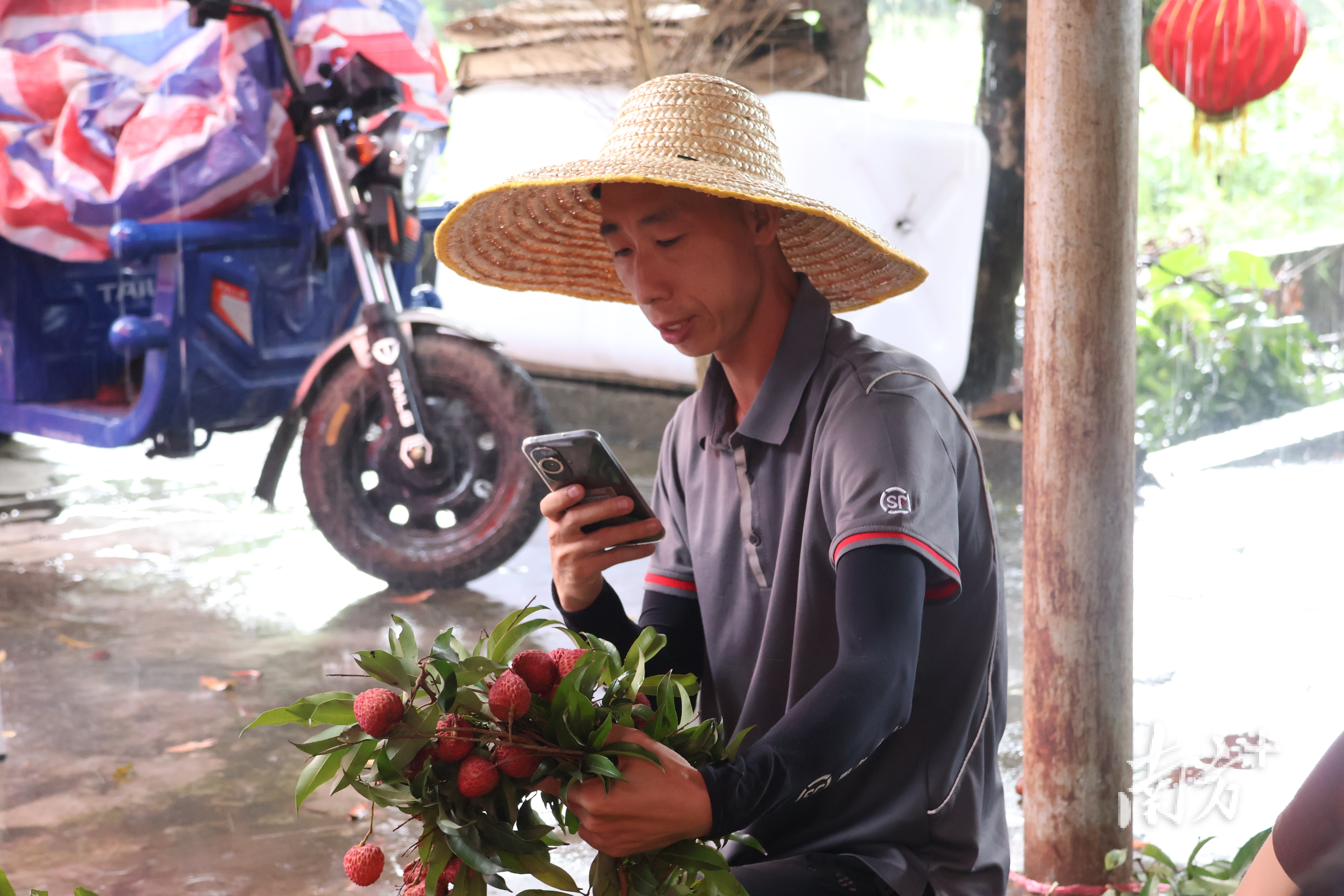 李红辉给客户拍视频介绍荔枝