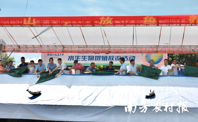 南方农村报 杨玲 拍摄