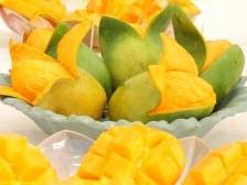 快来看看最“芒”现场！雷州覃斗芒果文化节启幕→