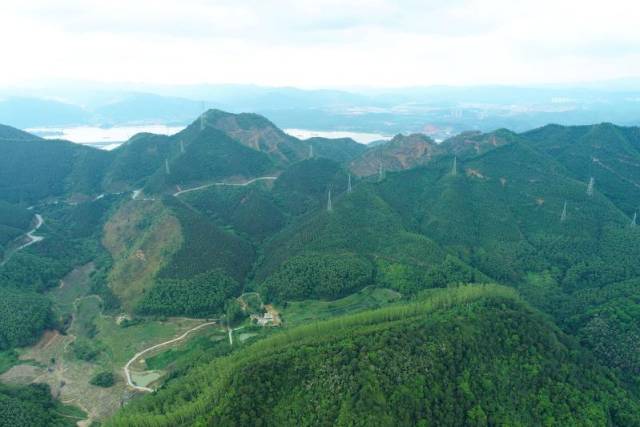 黄旗山森林公园绿美广东生态建设示范点。
