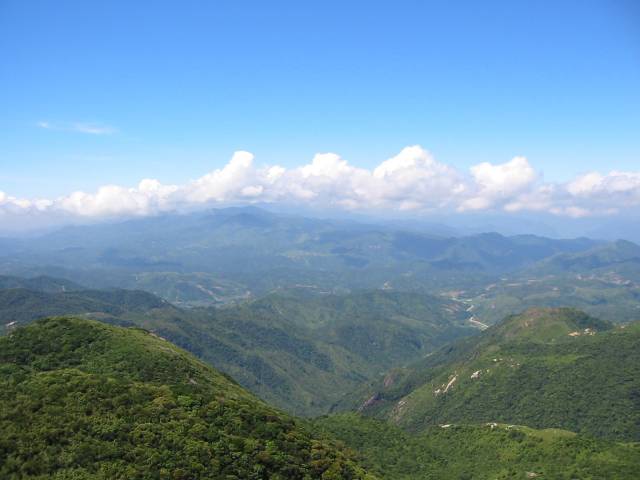 广东21地市均出台绿美广东生态建设实施方案或意见