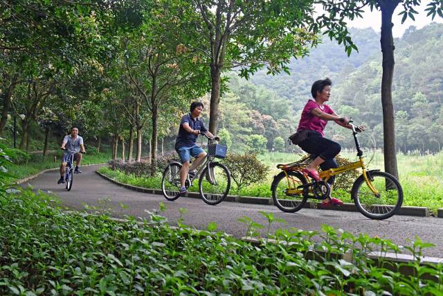 南山森林公园绿美广东生态建设示范点。