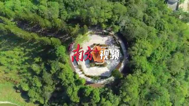 只留清气满乾坤——探访阳江阳西梅花地