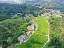 图集|梅县畲江镇打造丝苗米产业园，撂荒地喜成“米袋子”基地