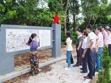 只留清气满乾坤——探访阳江阳西梅花地