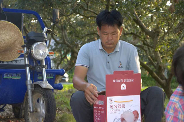 何建和在整理荔枝。（图源：茂名晚报）