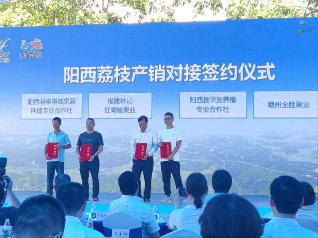 阳西荔枝产销对接签约仪式