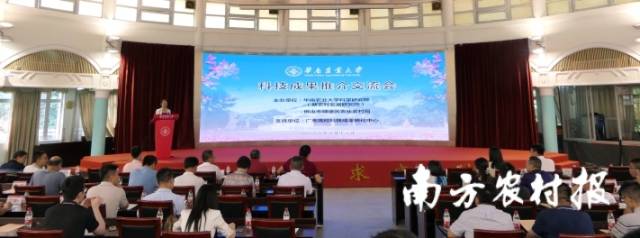 0  南方農(nóng)村報 楊玲 拍攝