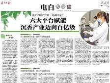 六大平台赋能沉香产业迈向百亿级 | 速览《南方日报·电白视窗》126期