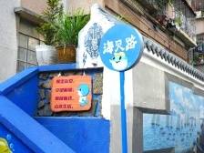 暖南暖心更聚力｜《南沙方案》一周年·党建深调研①