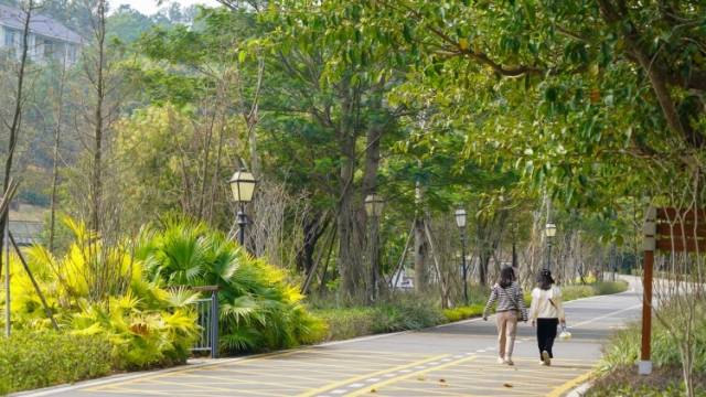 中山水韵丨藏在城区里的“桃花源”