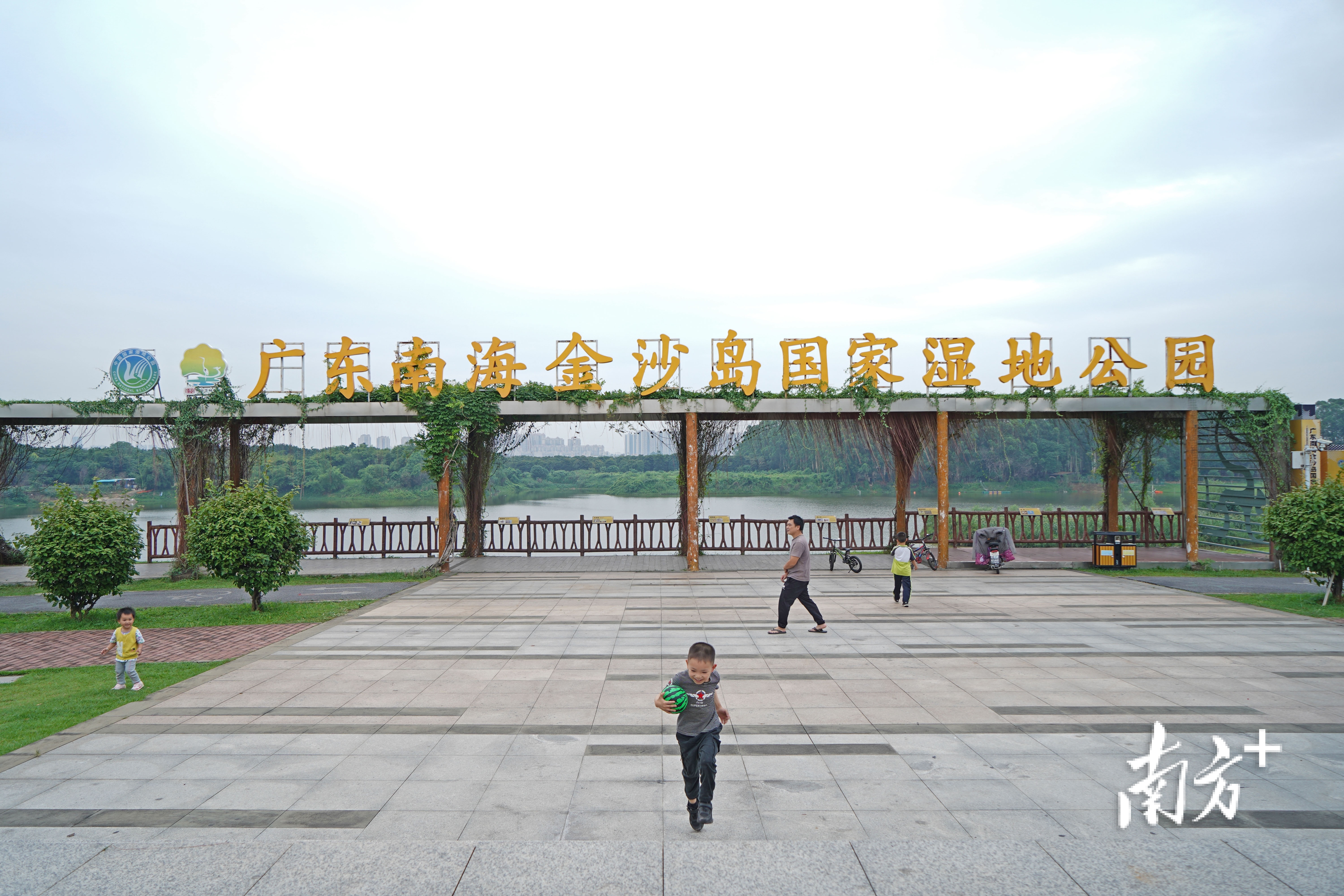 大藤水岸公园位于上安社区，占地5万平方米，是金沙岛国家湿地公园的重要节点工程。南方+记者 戴嘉信 摄