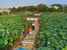 兴宁市坭陂镇文东村：“党建红”引领“生态绿”，描绘乡村振兴新画卷