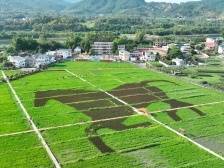 乡村何以逐梦“绿富美”？蕉岭县量身定制乡村产业社区