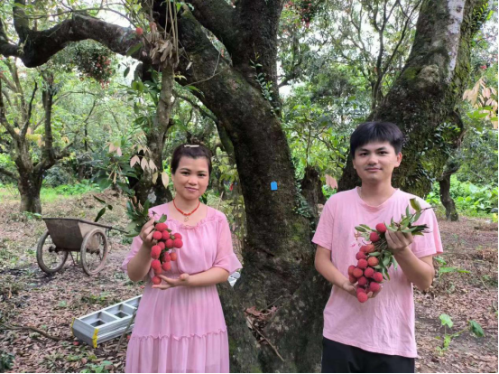 茂名市茂南区山阁镇新农人姐弟黄乾高和黄金菊。