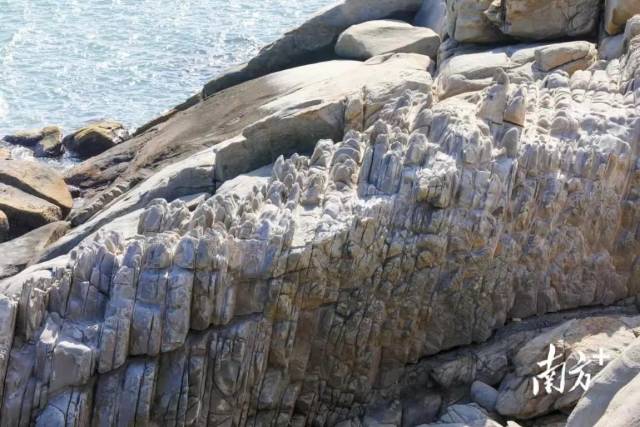 客鸟尾石笋 来源：中共惠来县委宣传部