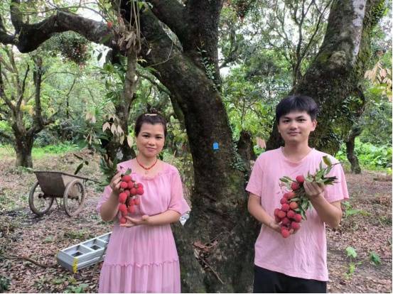 茂名市茂南区山阁镇新农人姐弟黄乾高和黄金菊。