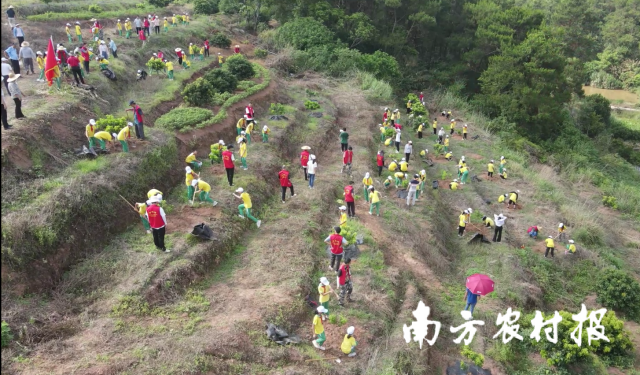 羅定市多所中小學(xué)開(kāi)展“綠美廣東·醉美荔園”種植活動(dòng)。