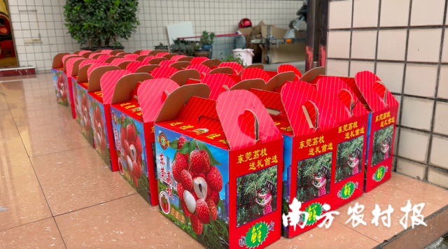 送往贵州“村超”的东莞荔枝