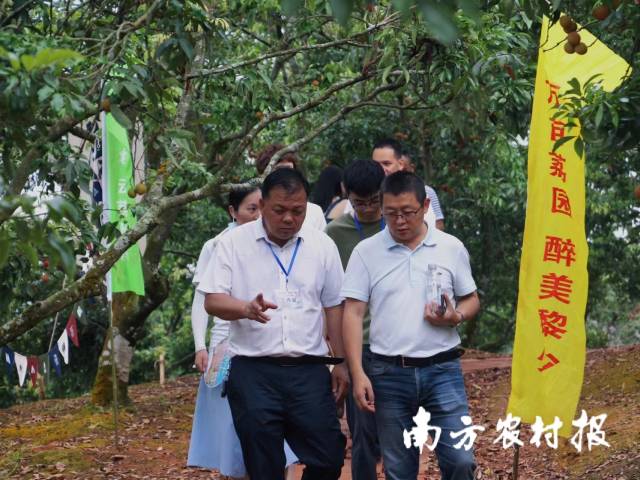 受訪者供圖