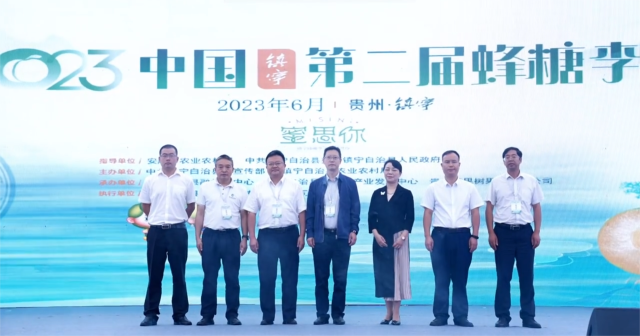 2023中国（镇宁）第二届蜂糖李节开幕的启动仪式。