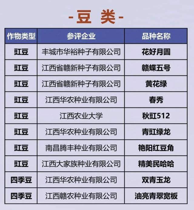 南方⁺ 黄少宏1 拍摄