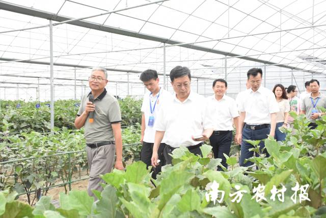 南方⁺ 黄少宏1 拍摄