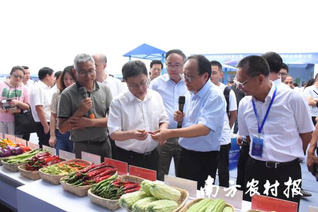 南方⁺ 黄少宏1 拍摄