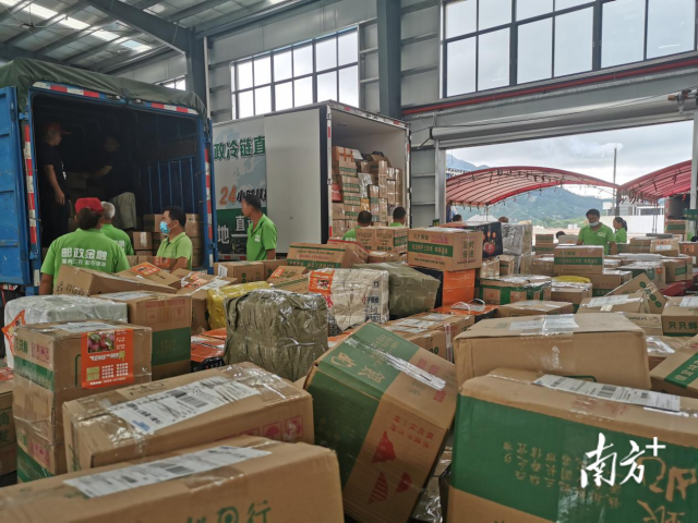  火爆的三华李快递业务