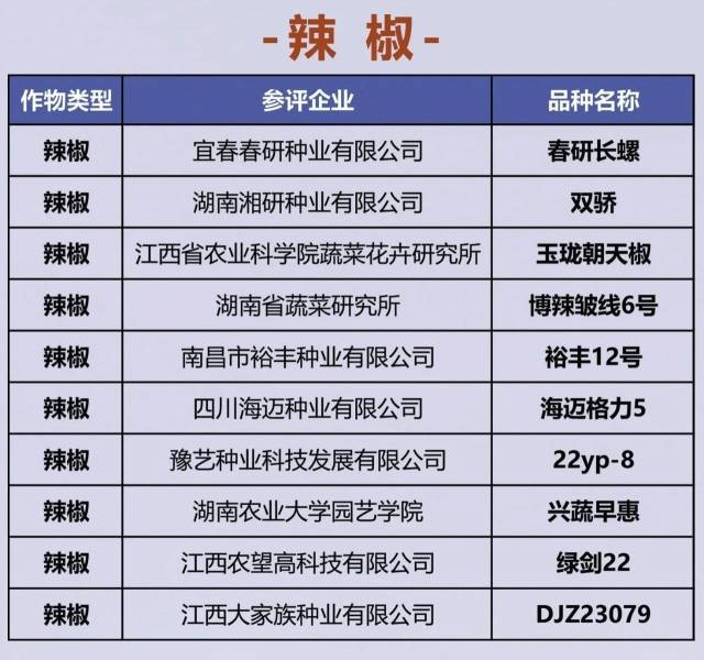 南方⁺ 黄少宏1 拍摄