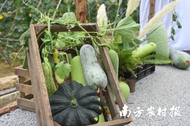 南方⁺ 黄少宏1 拍摄