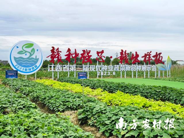 本次大会以“赣种强芯 赣出样板”为主题。