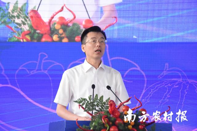 南昌市人民政府副市长彭开先