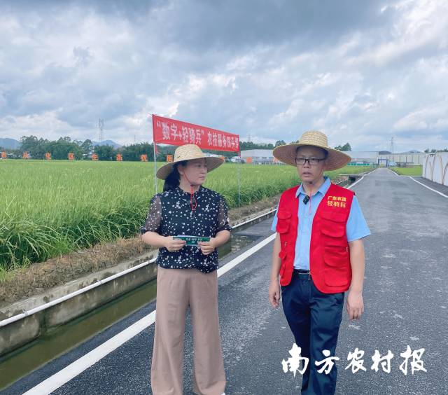 广州市从化区农业技术推广中心高级农艺师谢圣明（右）与广东省农业技术推广中心高级农艺师马群（左）