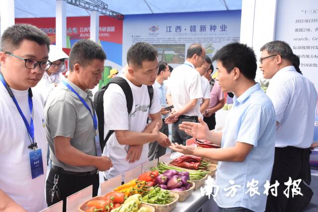 南方⁺ 黄少宏1 拍摄