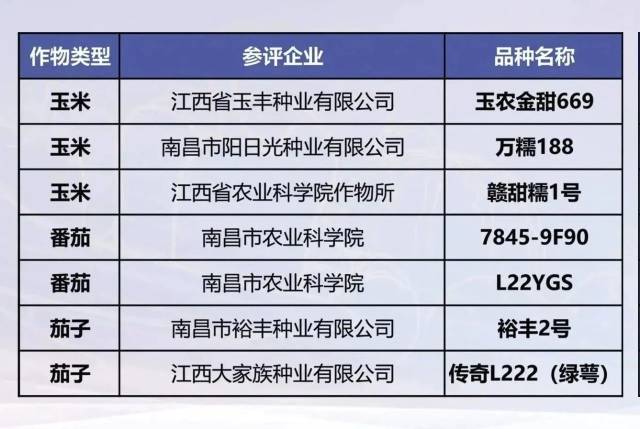 南方⁺ 黄少宏1 拍摄