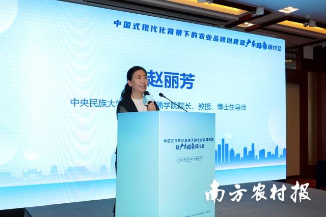 中央民族大学新闻与传播学院院长赵丽芳。