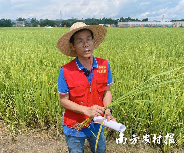 广东省农业科学院植物保护研究所研究员肖汉祥