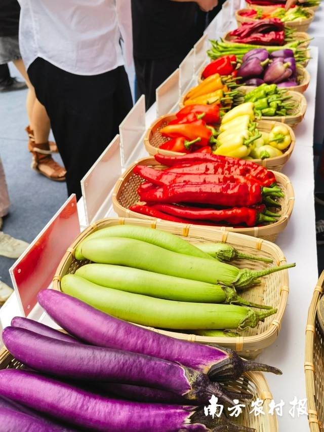 南方⁺ 黄少宏1 拍摄