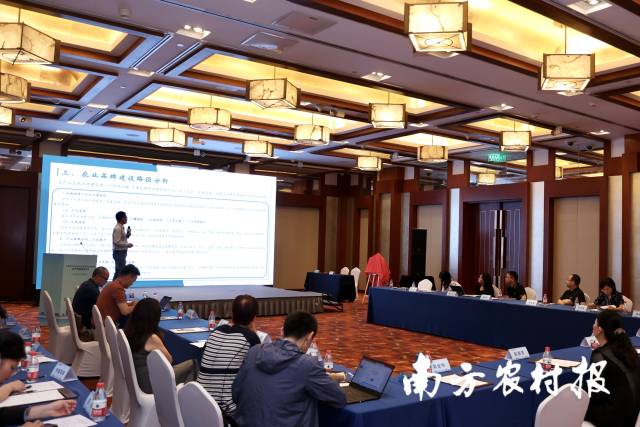 中国式现代化背景下农业品牌创建暨“广东现象”研讨会在北京举行。