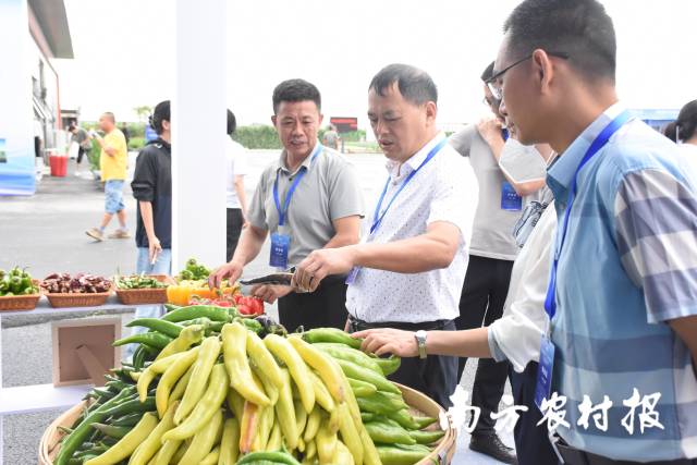 南方⁺ 黄少宏1 拍摄