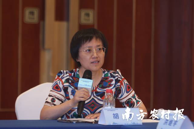 中国社会科学院数量经济与技术经济研究所研究员胡洁。