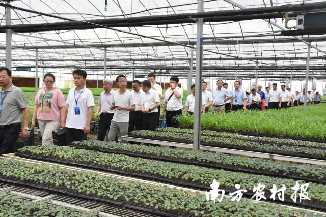 南方⁺ 黄少宏1 拍摄